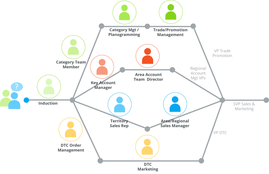 A career map for the complete sales and marketing area of a Consumer Goods company.